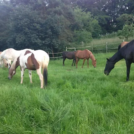 Bed & Breakfast Schoenbachhof *