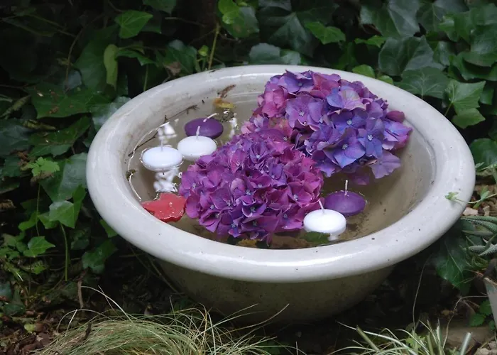 Schoenbachhof 希尔兹