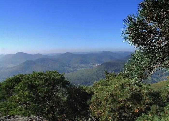 Schoenbachhof 4* 希尔兹