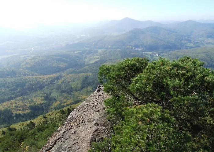 Schoenbachhof 希尔兹