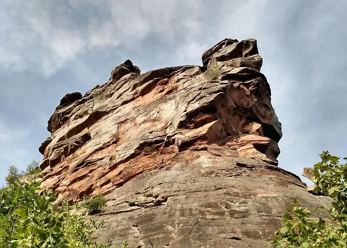 住宿加早餐酒店 Schoenbachhof