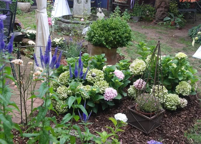 Schoenbachhof 住宿加早餐酒店