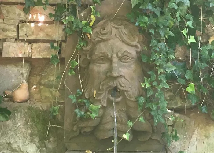 Schoenbachhof 住宿加早餐酒店 4*