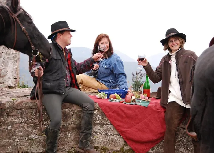 住宿加早餐酒店 Schoenbachhof