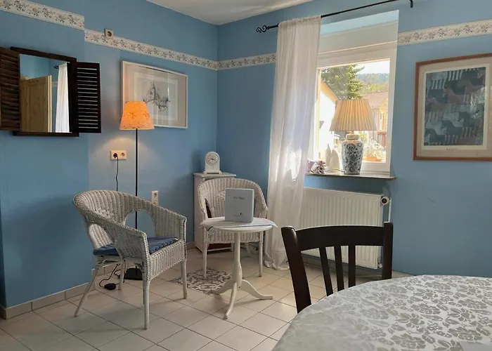 住宿加早餐酒店 Schoenbachhof