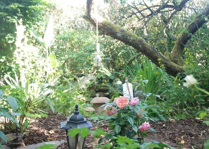 Schoenbachhof 住宿加早餐酒店 希尔兹